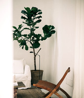 Casa Piana photographed by Daniel Civetta � First Draft-1000746
